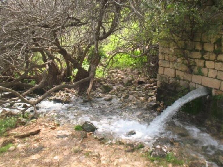 ואדי ראש פינה - תמונה מתוך סיור עם מוריס צמח בגליל