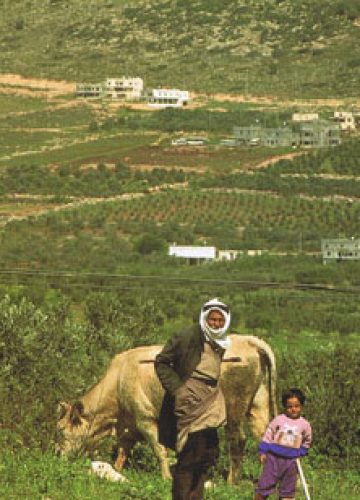 טיולים מודרכים בגליל ובגולן